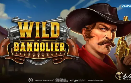 야생 탄띠(Wild Bandolier) : 플레이앤고(Play