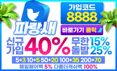파랑새-토토사이트-카지노킹